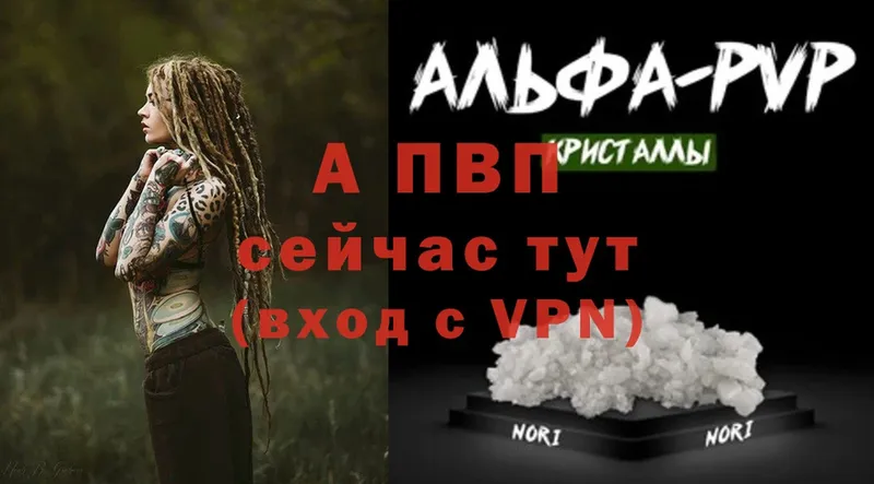 A PVP СК КРИС  Шелехов 